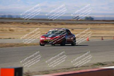 media/Nov-16-2024-CalClub SCCA (Sat) [[641f3b2761]]/Group 4/Grid and Front Straight/